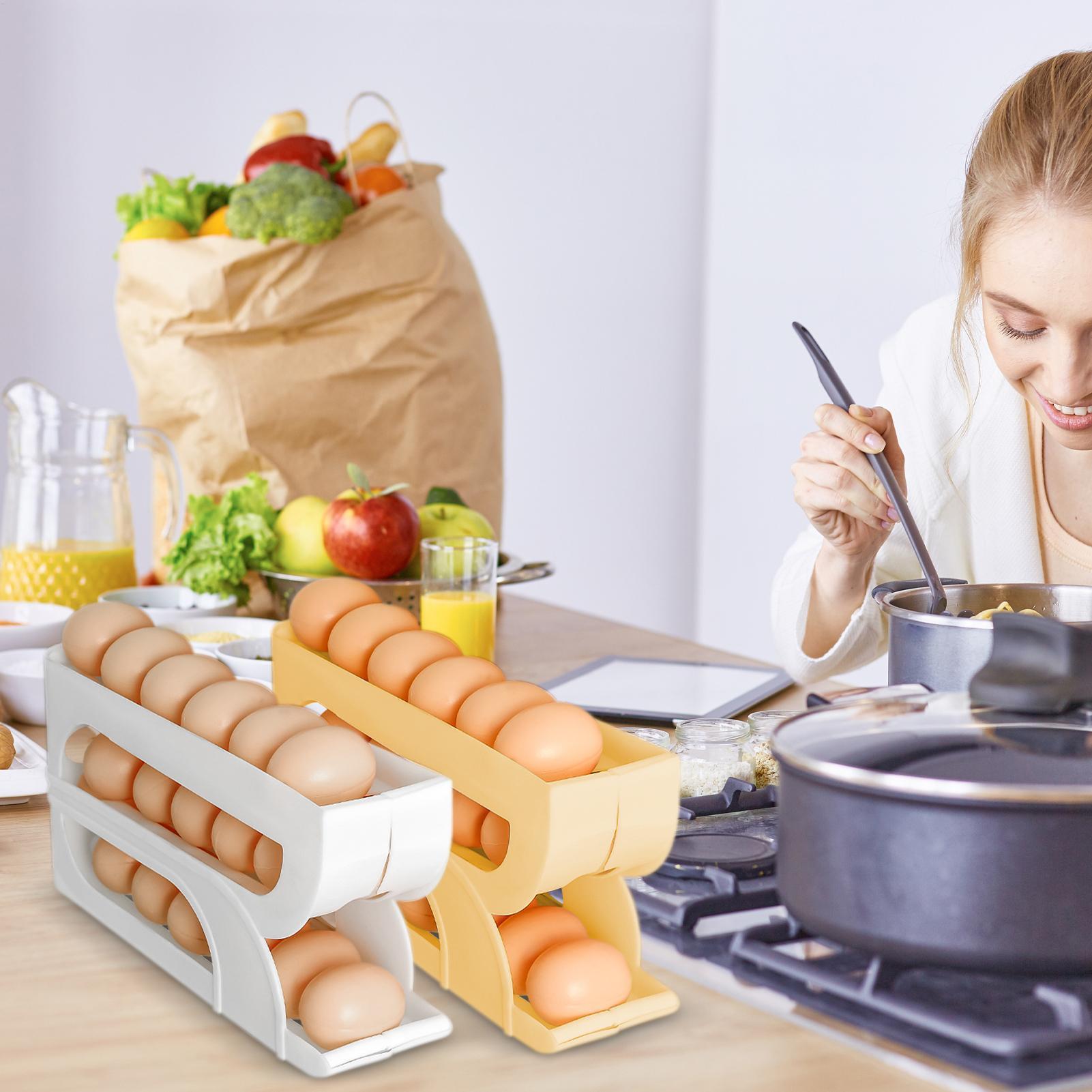 Egg Dispenser for Refrigerator - Meal Prep Recipes review and price