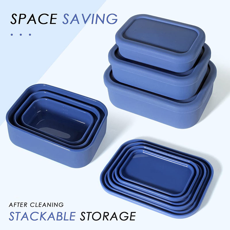 Leak-Resistant Bento Lunch Box - Meal Prep Recipes review and price