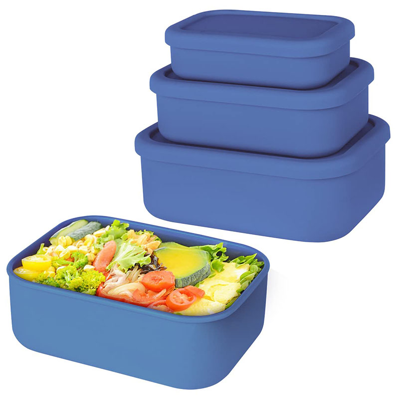 Leak-Resistant Bento Lunch Box - Meal Prep Recipes review and price