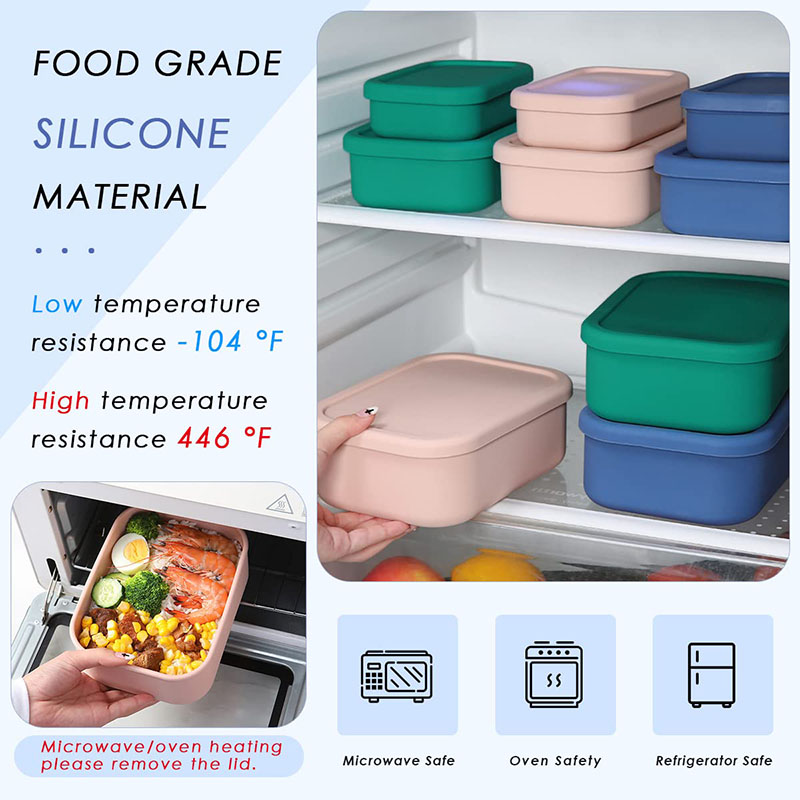 Leak-Resistant Bento Lunch Box - Meal Prep Recipes review and price
