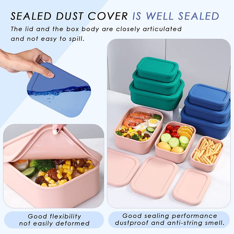 Leak-Resistant Bento Lunch Box - Meal Prep Recipes review and price